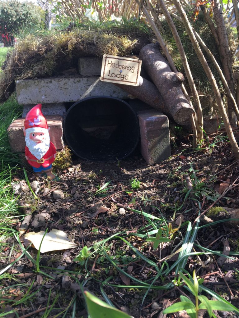 Entrance to hedgehog home. A gnome in a red hat and outfit sits to the left on the entrance.